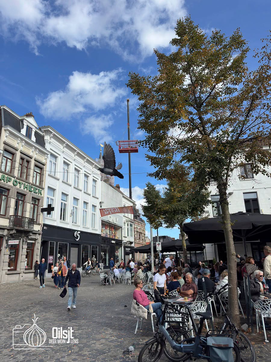 Autoloze zondag brengt sfeer en ruimte in Aalst