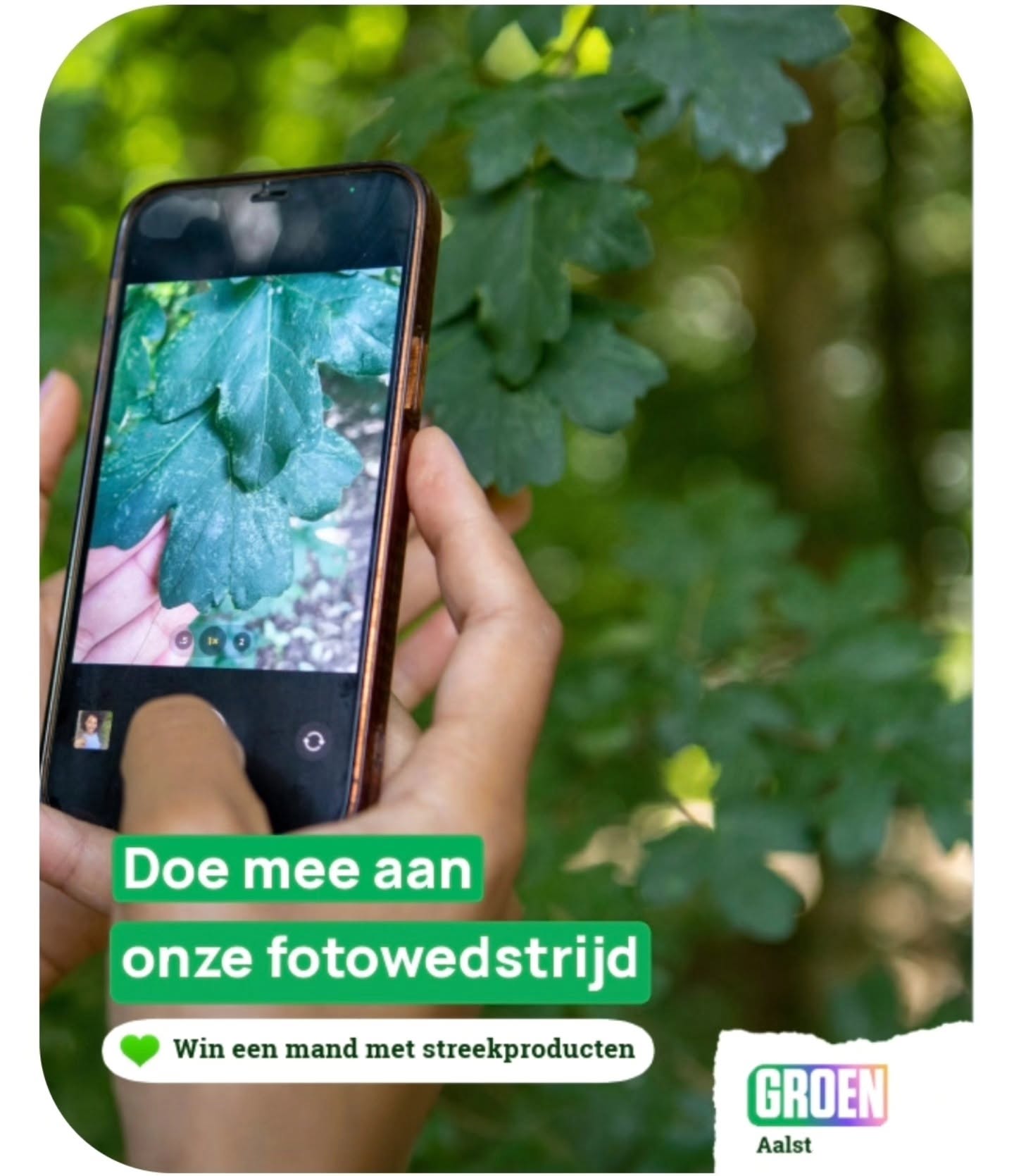 📸 FOTOWEDSTRIJD: Leg de natuur in Aalst vast en WIN! 🧺✨