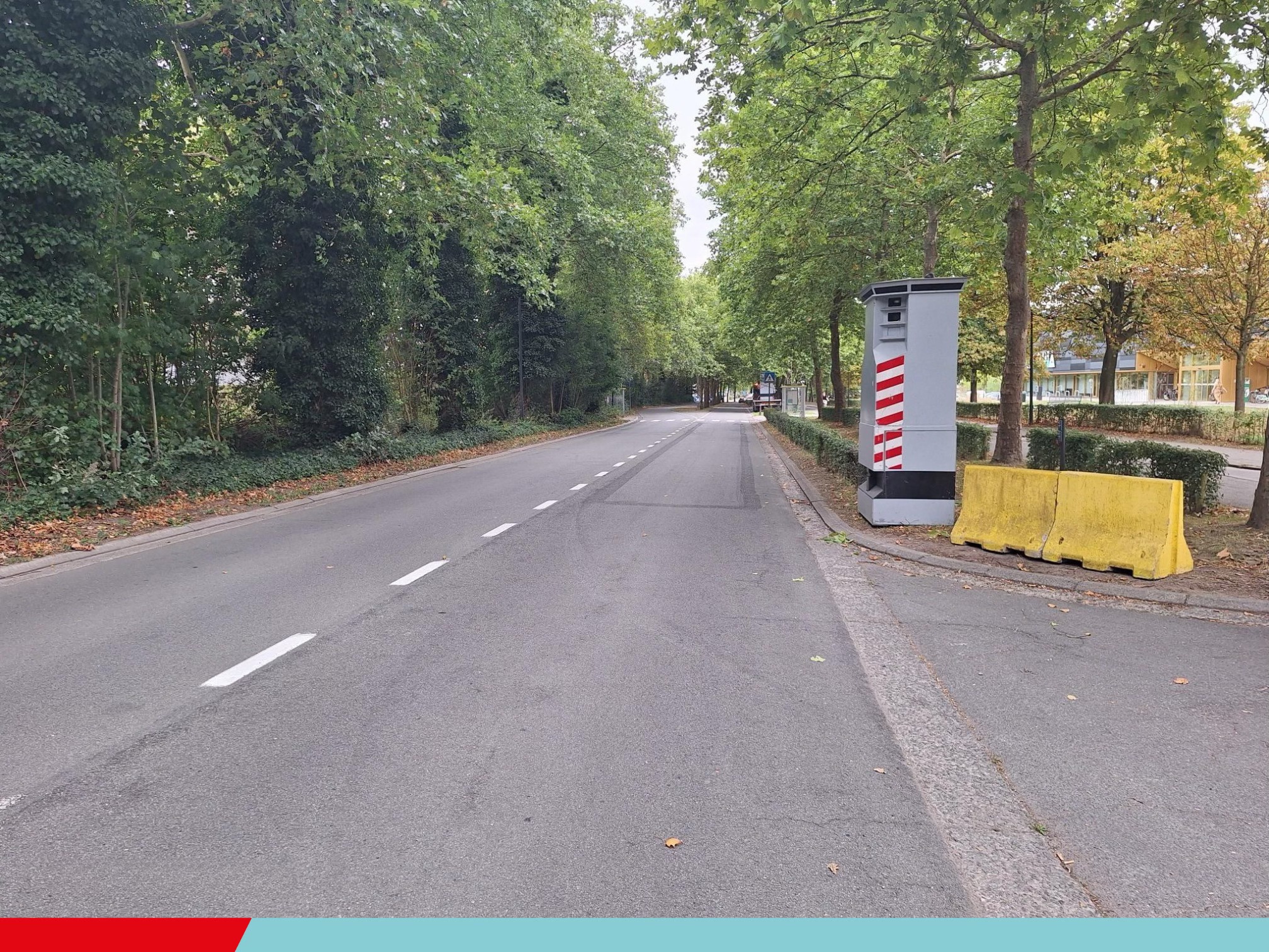 Sammeke verkent deze week de buurt van Aquatopia op de📍Zwembadlaan.
