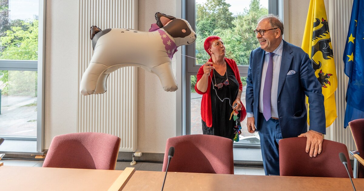 🗣️ Deelgemeentenplatform fileert inspraakbeleid in Aalst: "Ze kwamen, zagen en vertrokken weer ..."