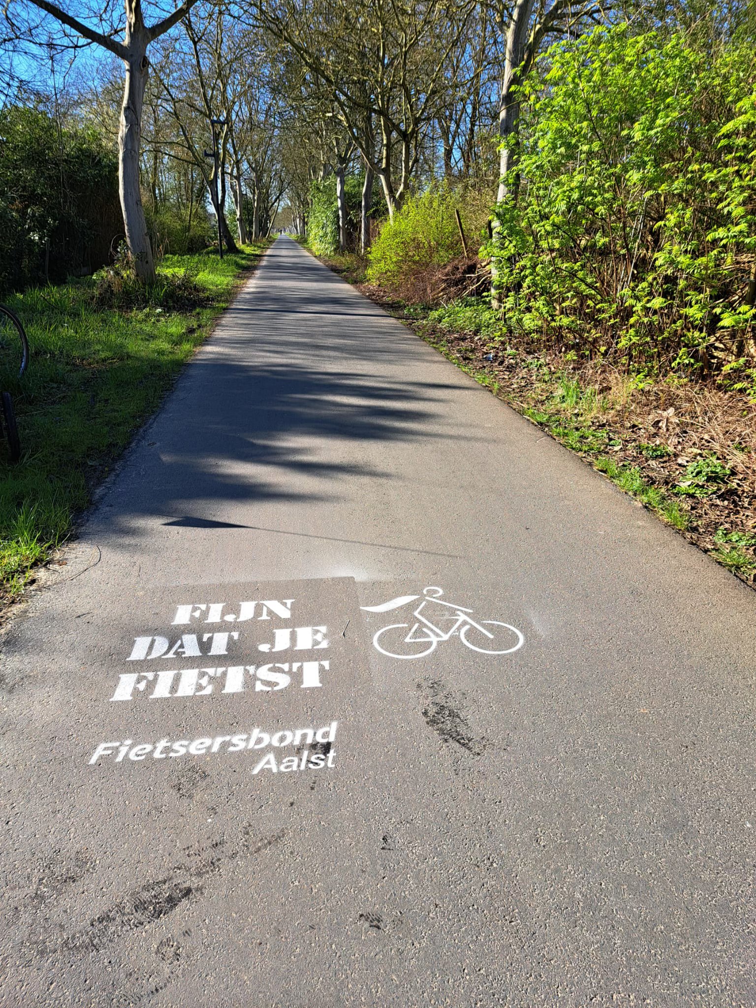 🚲 Op deze Nationale Applausdag voor Fietsers zet Vooruit Aalst en de Fietsersbond Aalst alle fietsers in de bloemetjes.