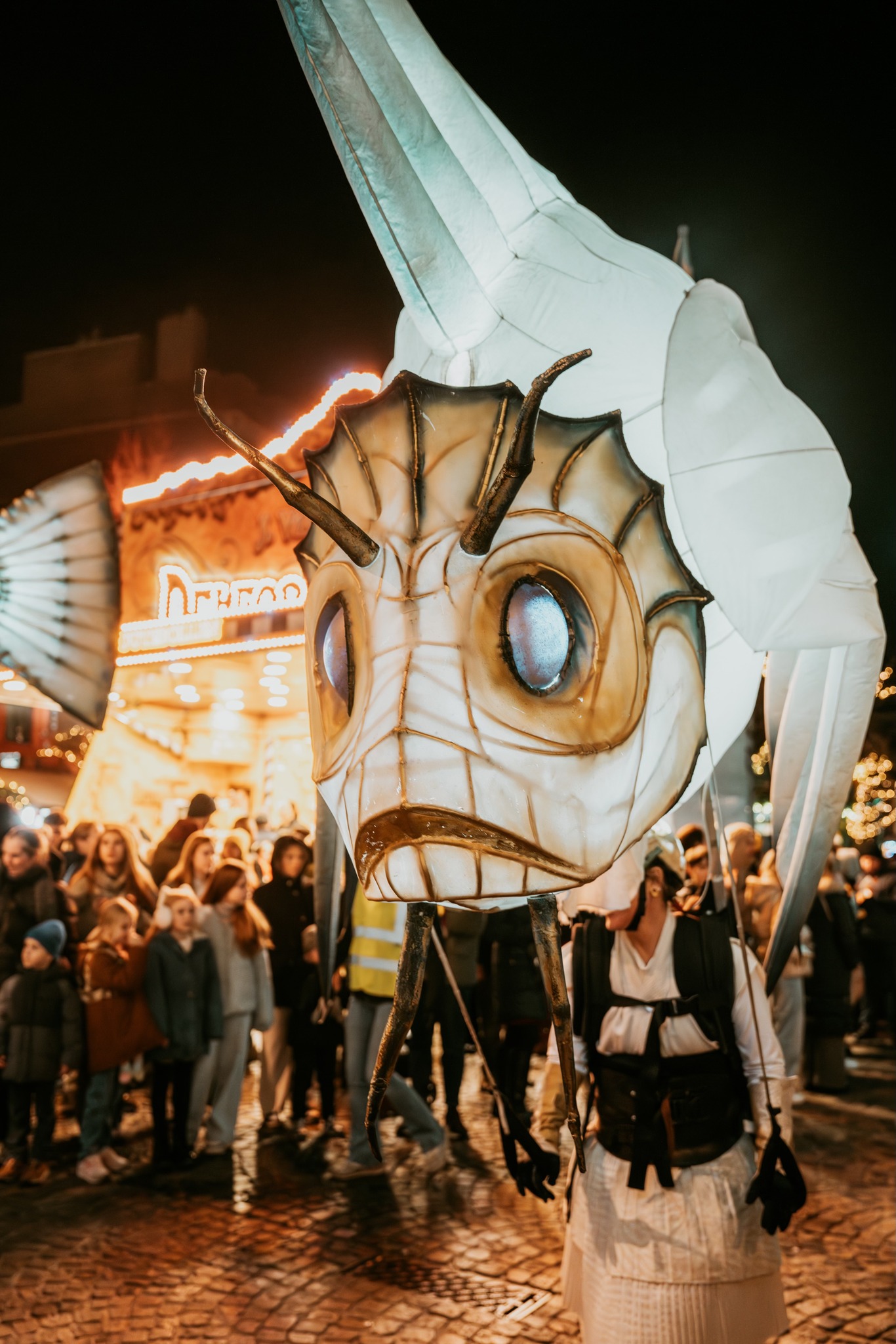 ✨ AALST TWINKELT TRAPT WINTERFESTIVAL [OVER]WINTEREN AF ✨