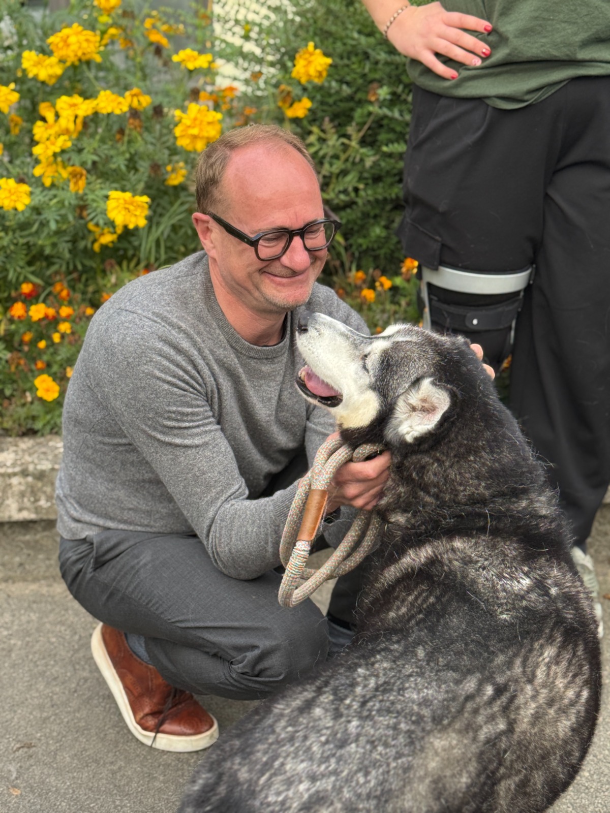 Aalsterse husky Wolf wacht al zes jaar op een nieuwe thuis
