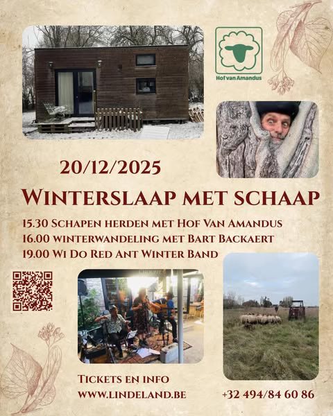 🐑🌙 Winterslaap met schaap