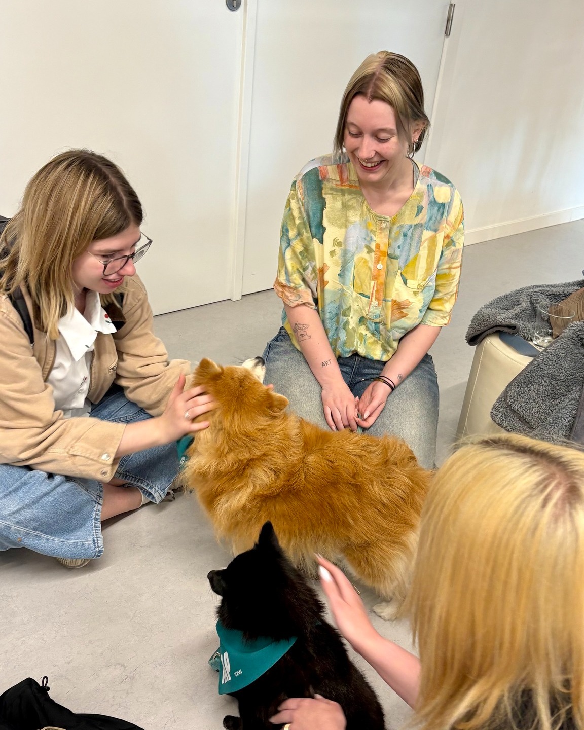📚🐶 Motivatieboost voor studenten in Aalst