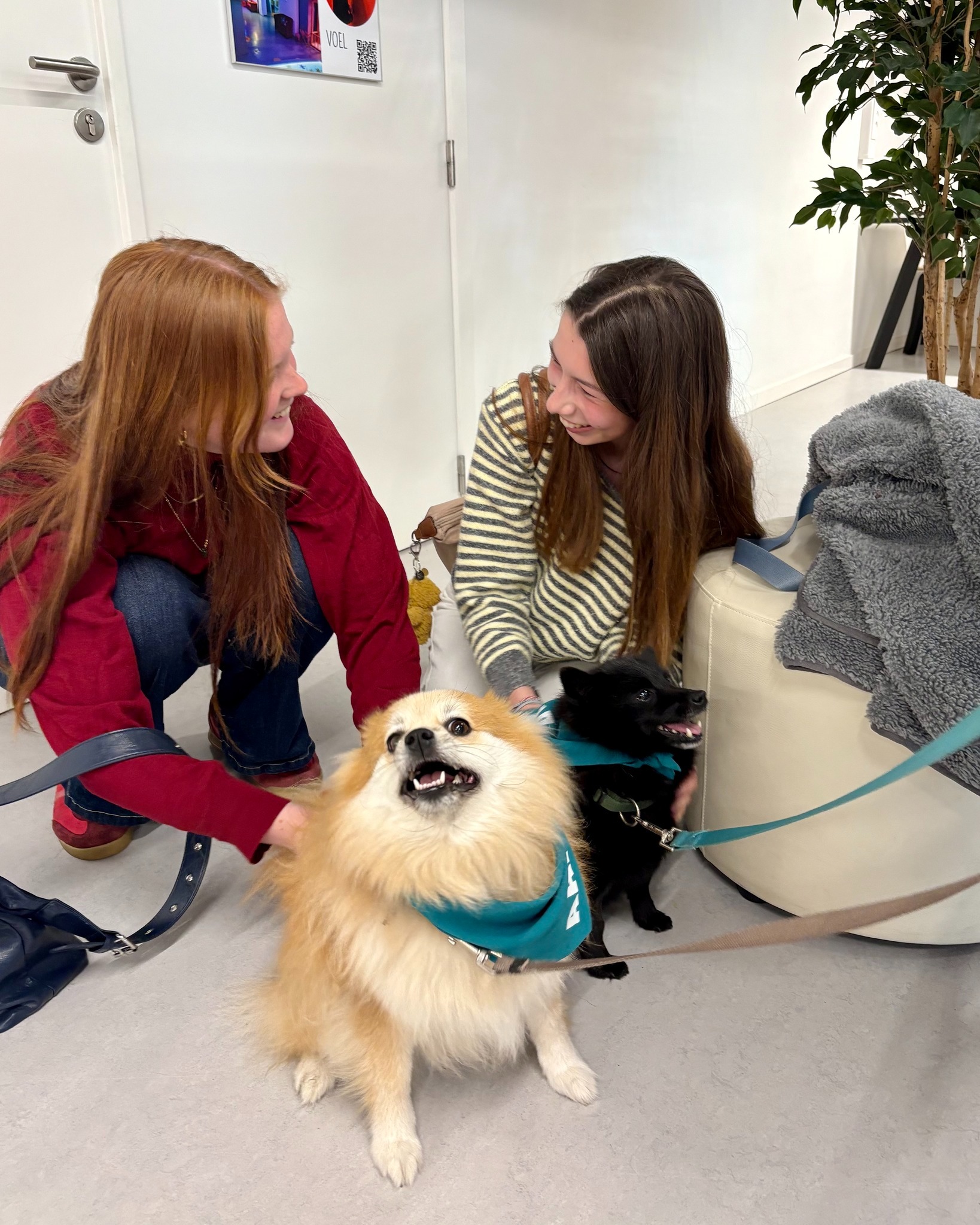 📚🐶 Motivatieboost voor studenten in Aalst