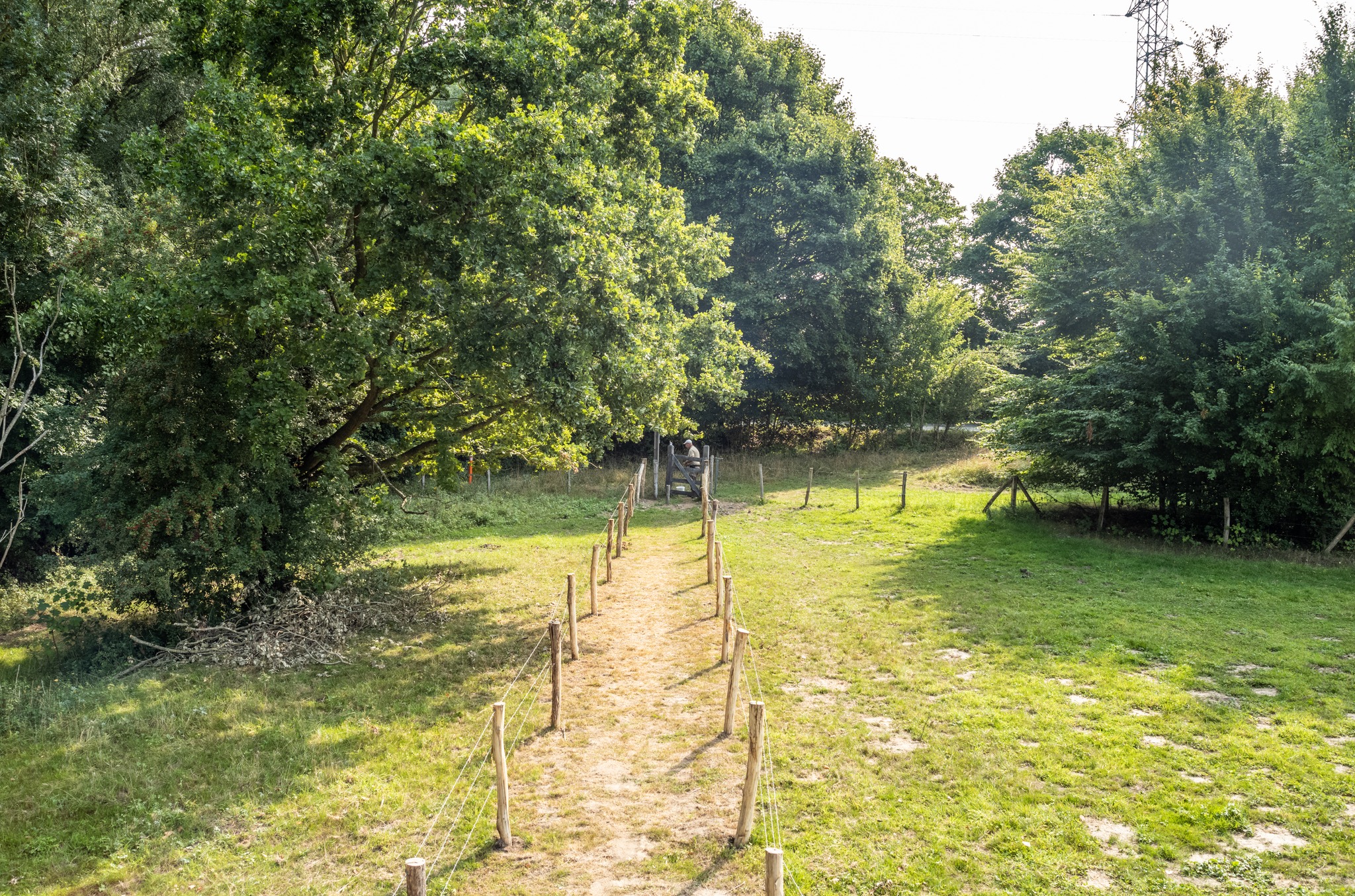🌿 Ontdek de natuur van het Osbroek tijdens gratis begeleide wandeling