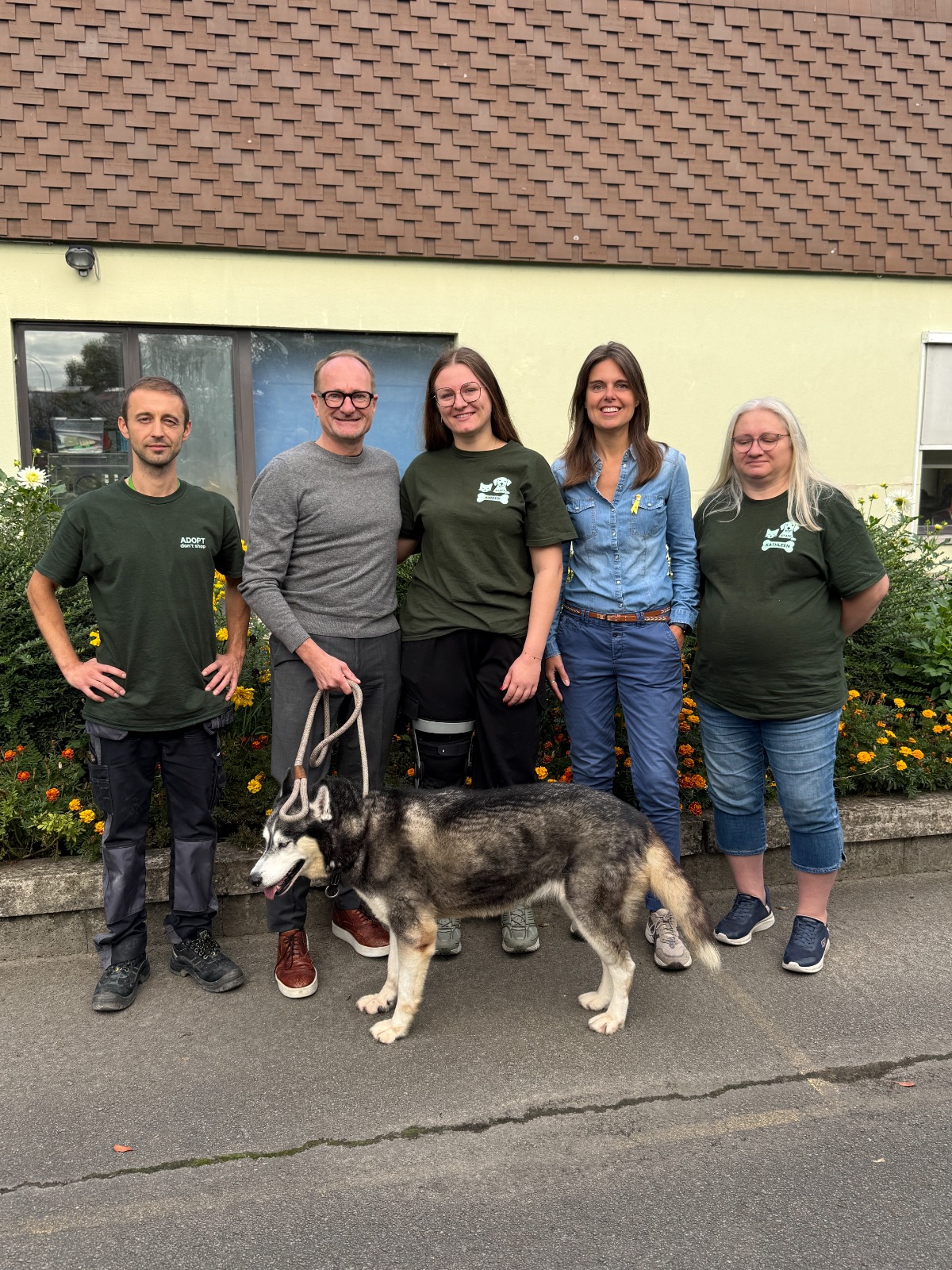 Aalsterse husky Wolf wacht al zes jaar op een nieuwe thuis