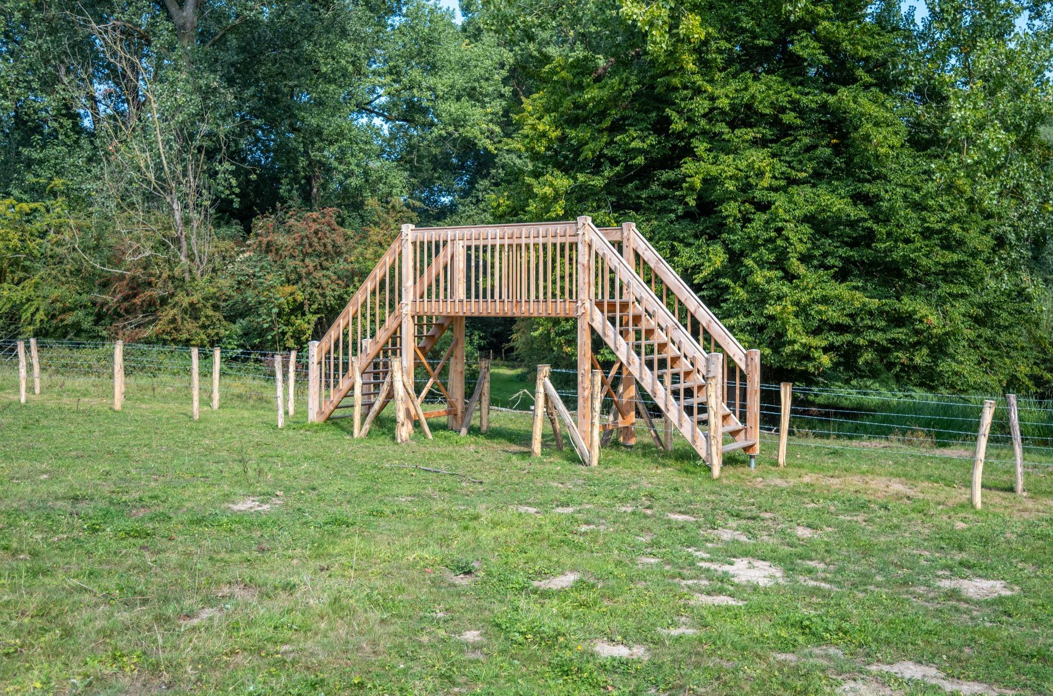 🌿 Ontdek de natuur van het Osbroek tijdens gratis begeleide wandeling