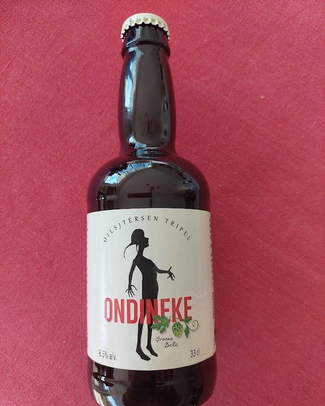 Herdersem 'Heemkundige Kring De Faluintjes' in feeststemming voor 40 jaar heemkunde 🎉📚