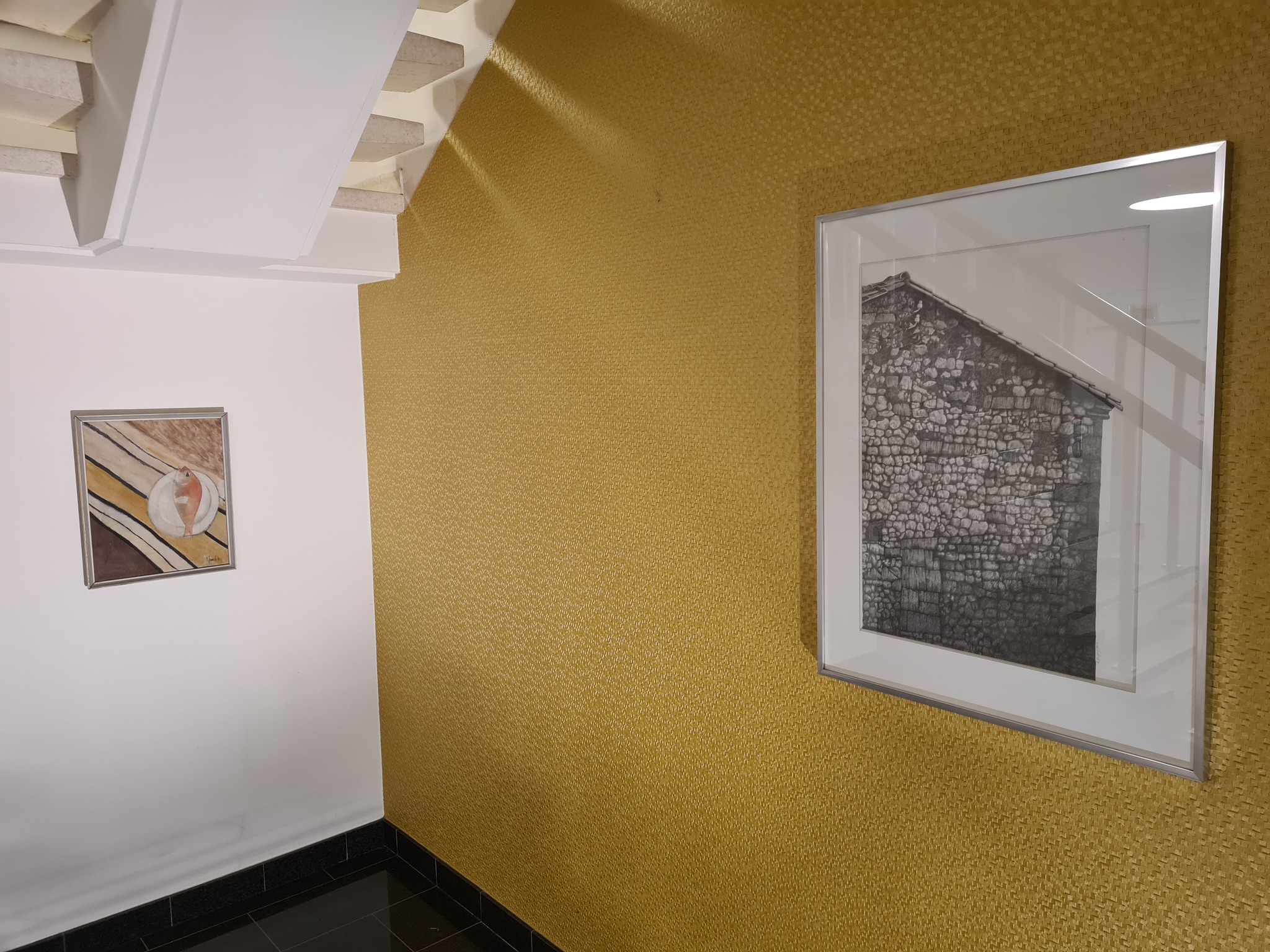 Kunst op Voorschrift brengt kunst uit Denderland naar Psychiatrisch Centrum Ariadne. 