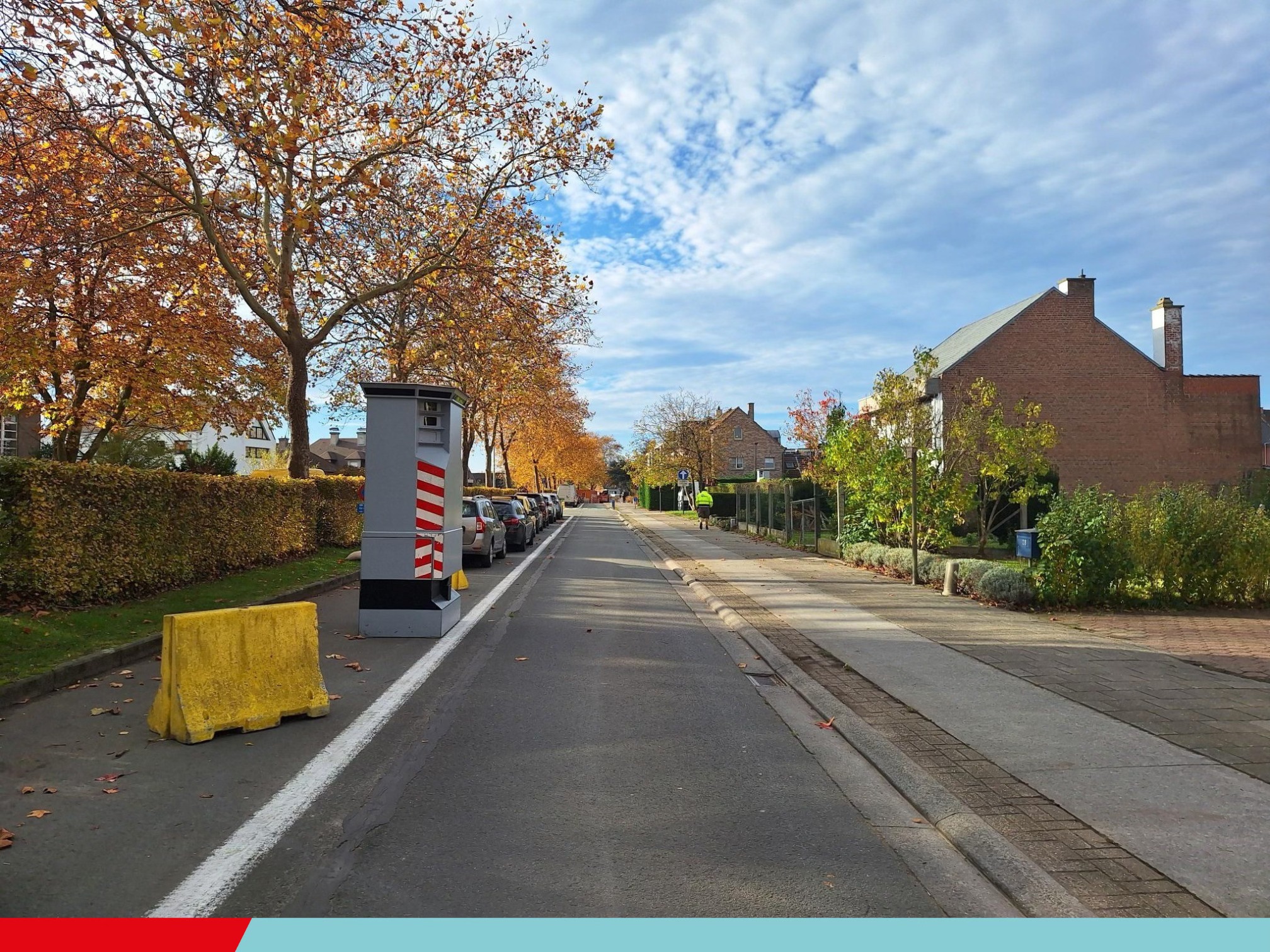 Politie Aalst: "🍂🍁 Op deze mooie herfstdag streek Sammeke neer op zijn nieuwe plekje op de 📍Mijlbekelaan. Rij dus voorzichtig, en hou je aan de snelheidslimiet van ⭕30 km/u."