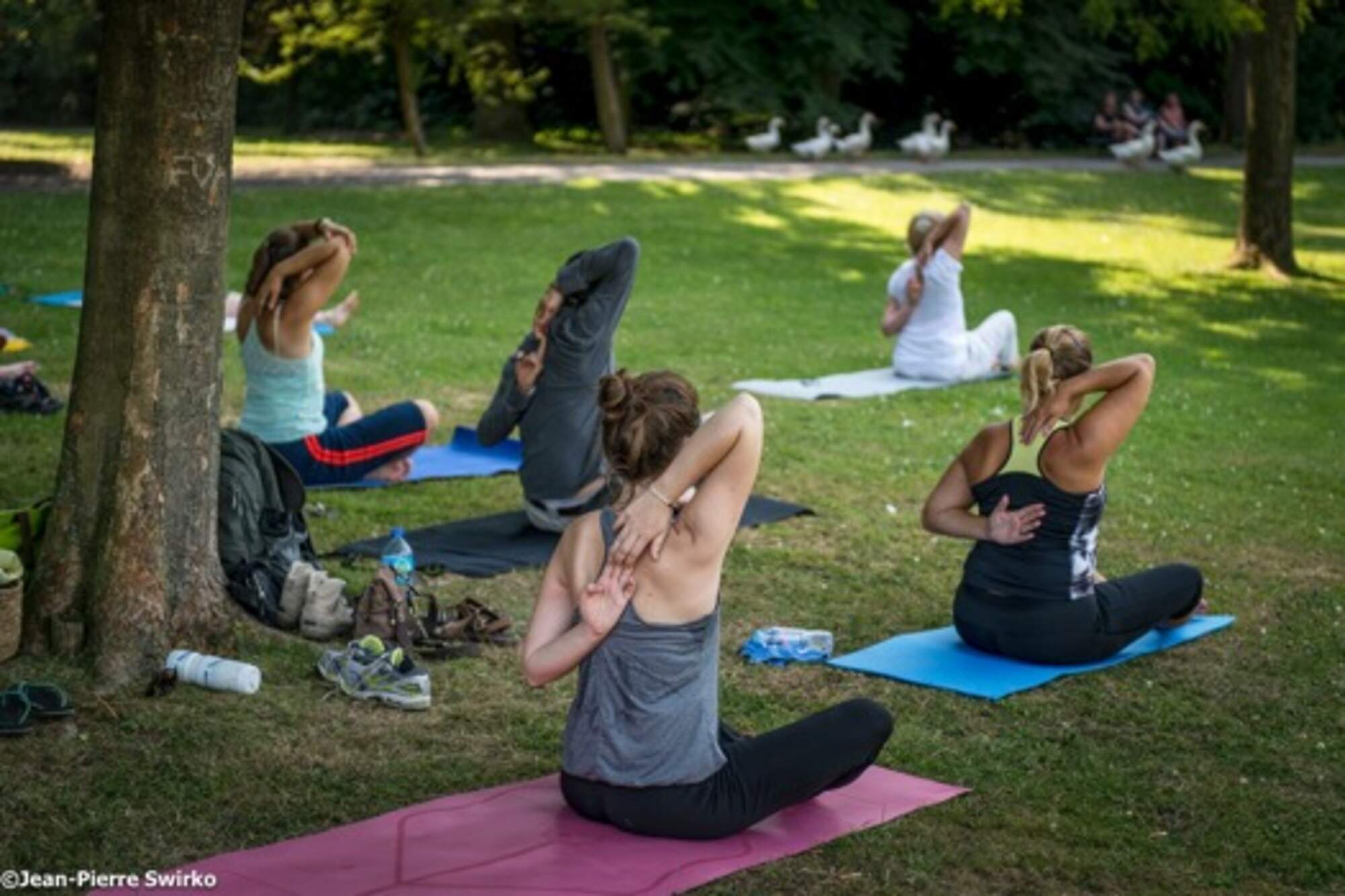 🧘 Gratis yoga in het Aalsterse stadspark tijdens de zomervakantie
