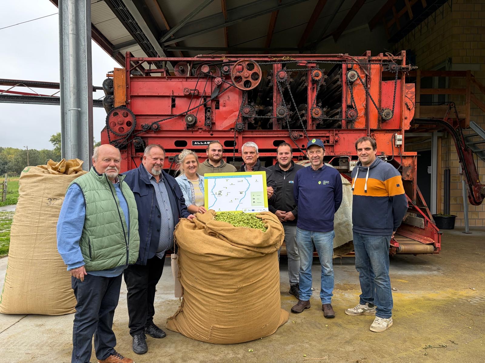Hop en hopscheuten uit Aalst, Affligem en Asse erkend als Vlaams streekproduct