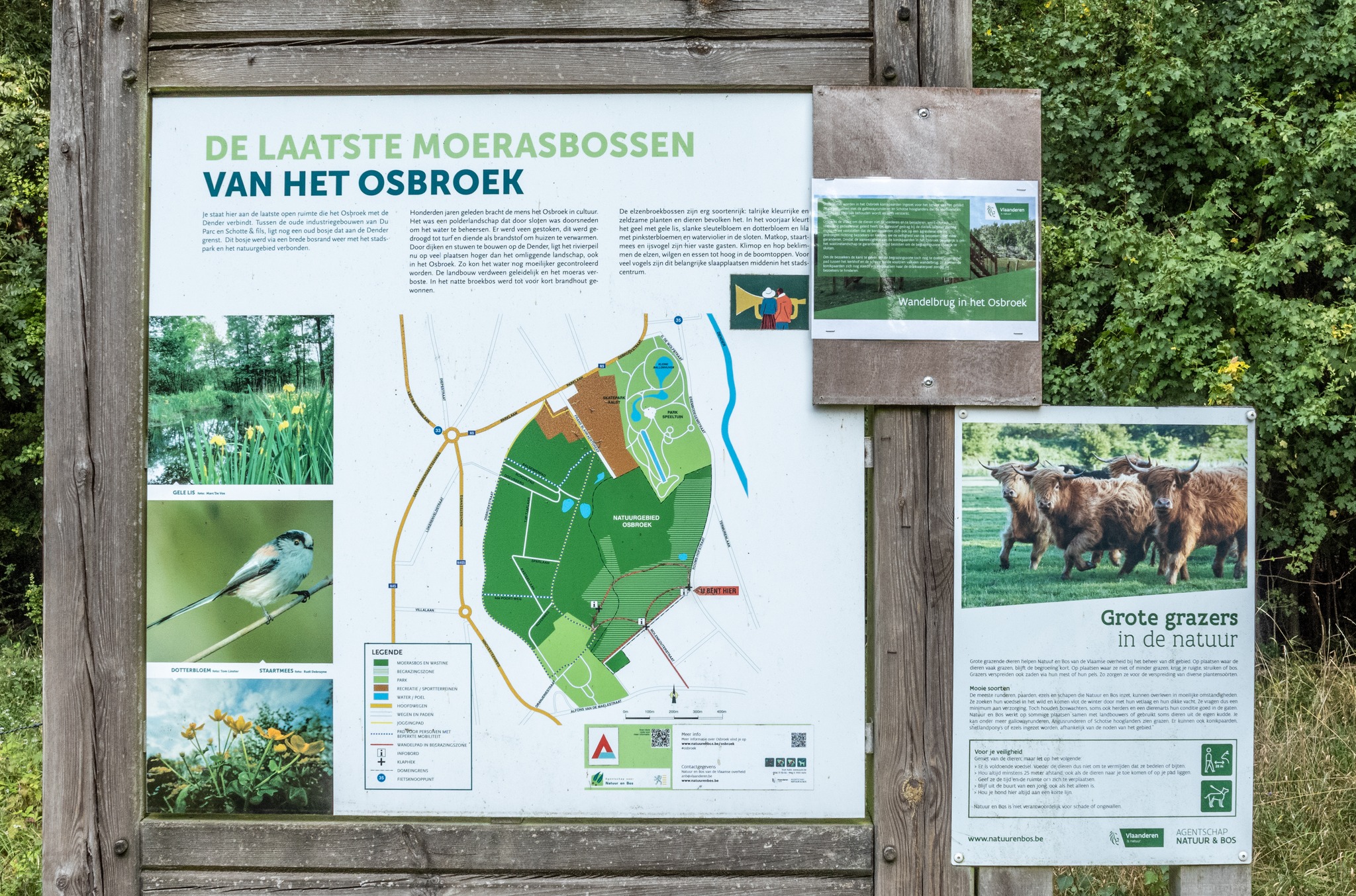 🌿 Ontdek de natuur van het Osbroek tijdens gratis begeleide wandeling