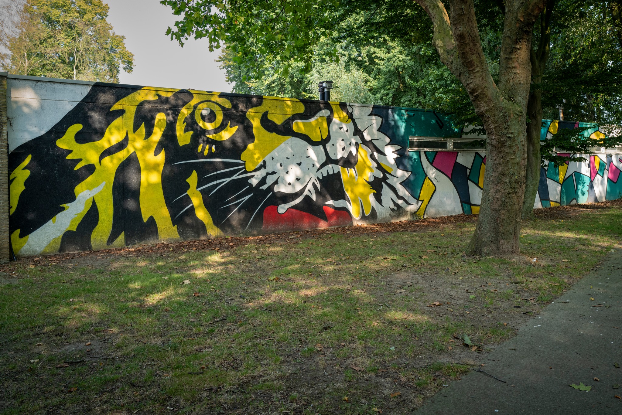 🏡 Ontwerpteam gezocht voor toekomst van Park De Blieck in Aalst