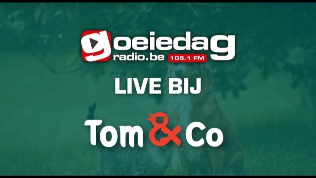 🎙️ FT Galaxy Aalst live op de radio!