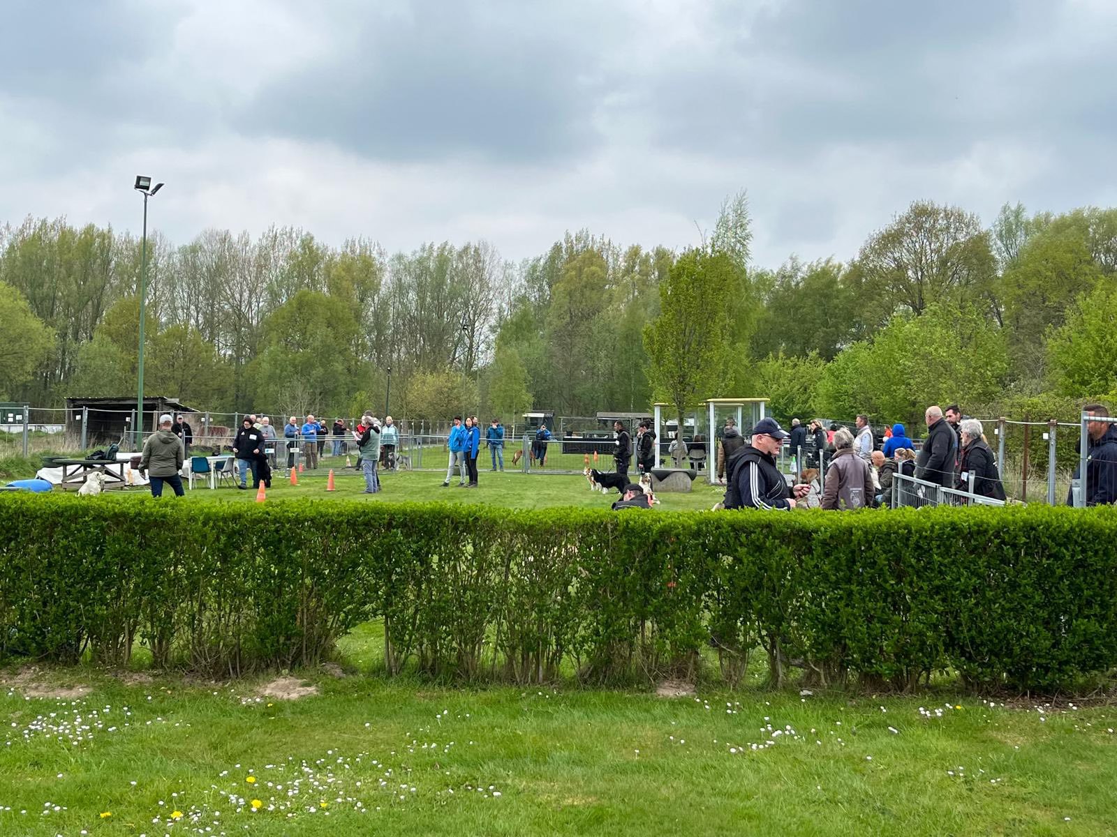🐾 Onze hondenschool POHO groeit, en we zoeken helpende handen! 🐾