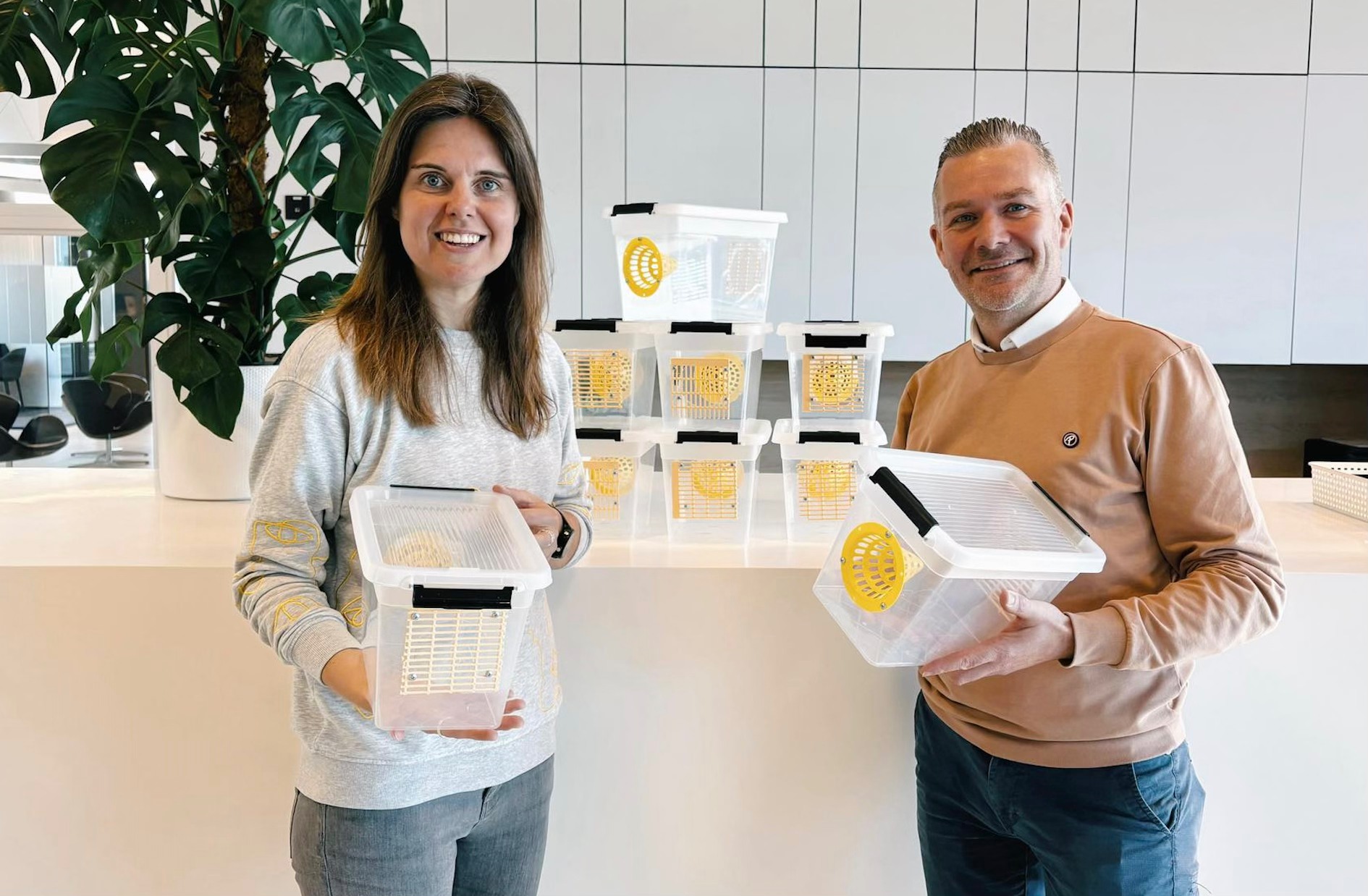 🐝 Stad Aalst blijft strijd voeren tegen de Aziatische hoornaar