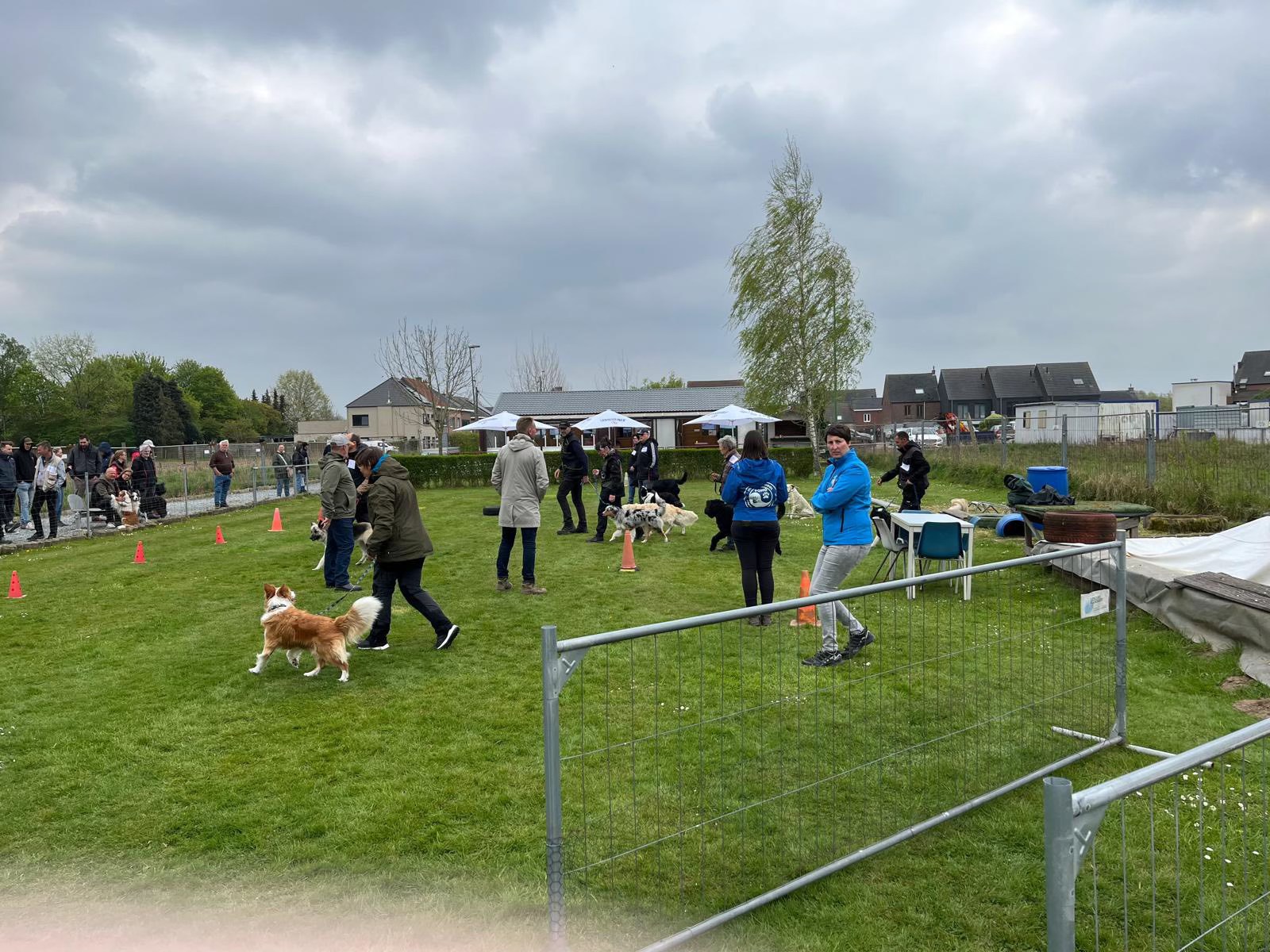 🐾 Onze hondenschool POHO groeit, en we zoeken helpende handen! 🐾