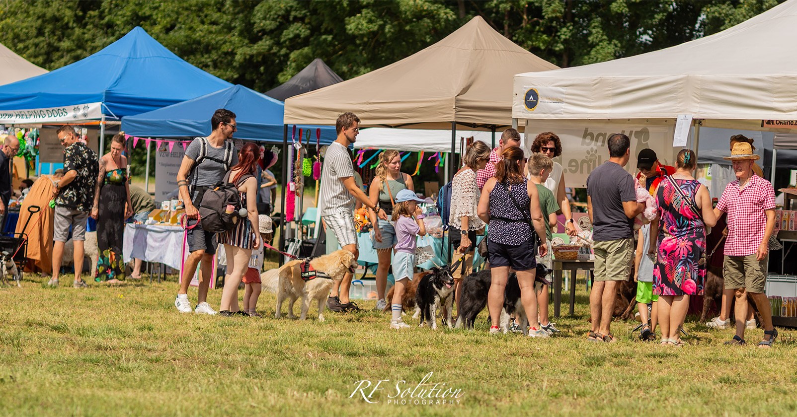 🐶☀️ Zomer Honderland strijkt neer in Aalst: een paradijs voor hondenliefhebbers! 🐾