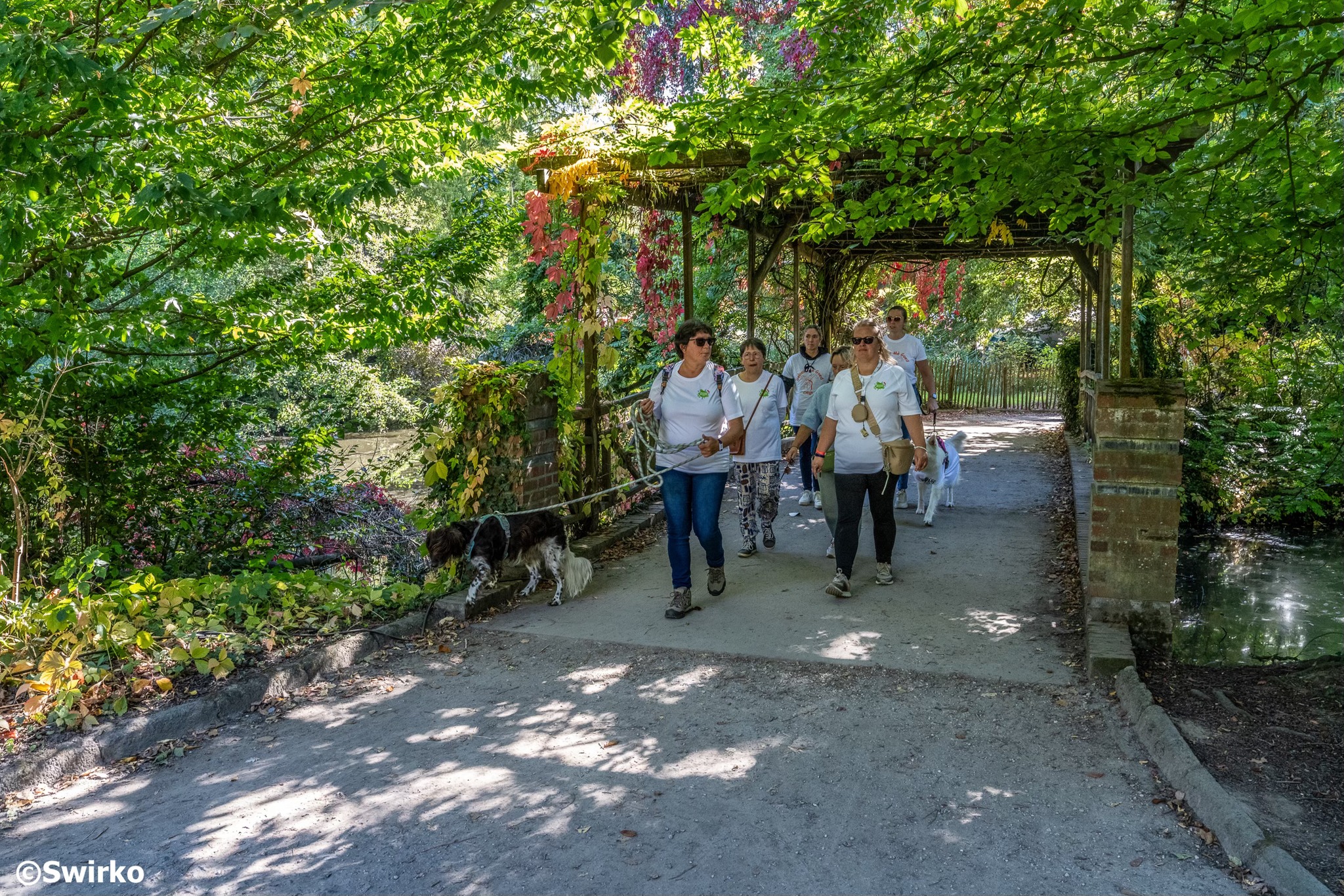 ✨ Levensloop Aalst 2025 sluit af met een voorlopige teller van €140.218 ✨