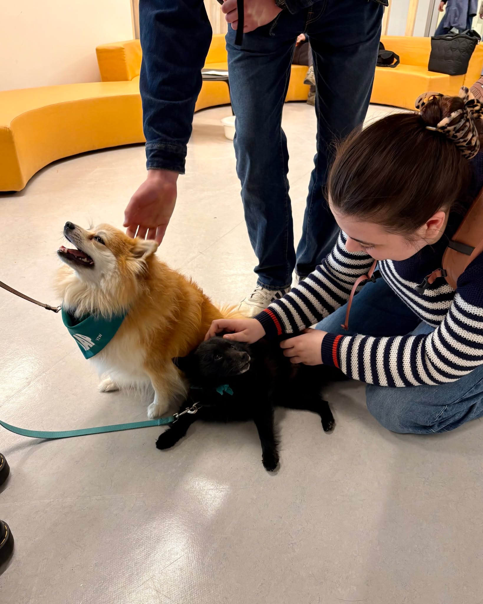 📚🐶 Motivatieboost voor studenten in Aalst