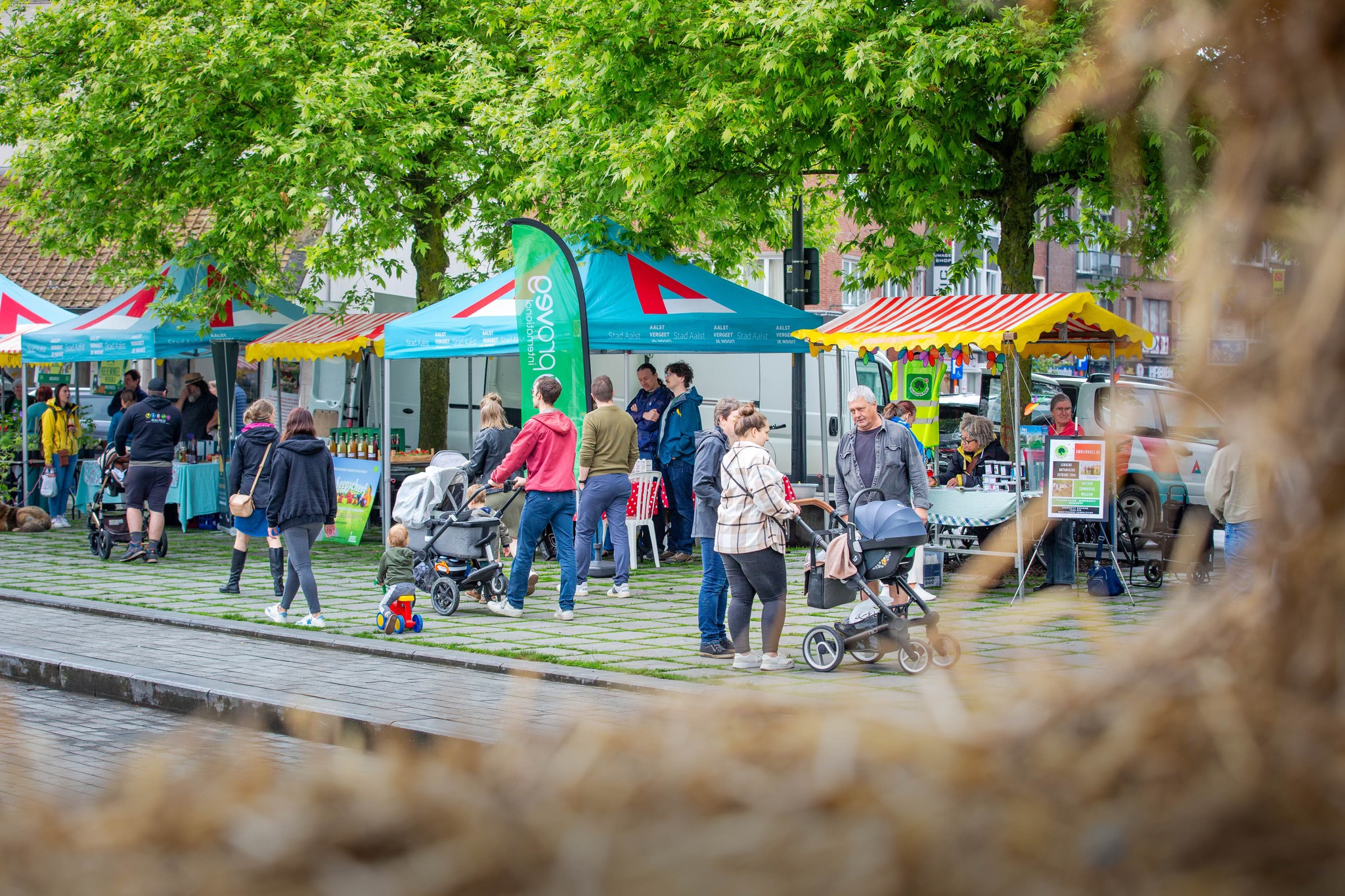 🌾 Zaterdag 17 mei op het Werfplein in Aalst? Daar moet je bij zijn! 🌟