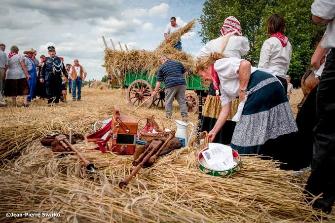 🚭 Pikkeling voert streng rookverbod in door extreme droogte: organisatie wil elk brandrisico vermijden 🚭