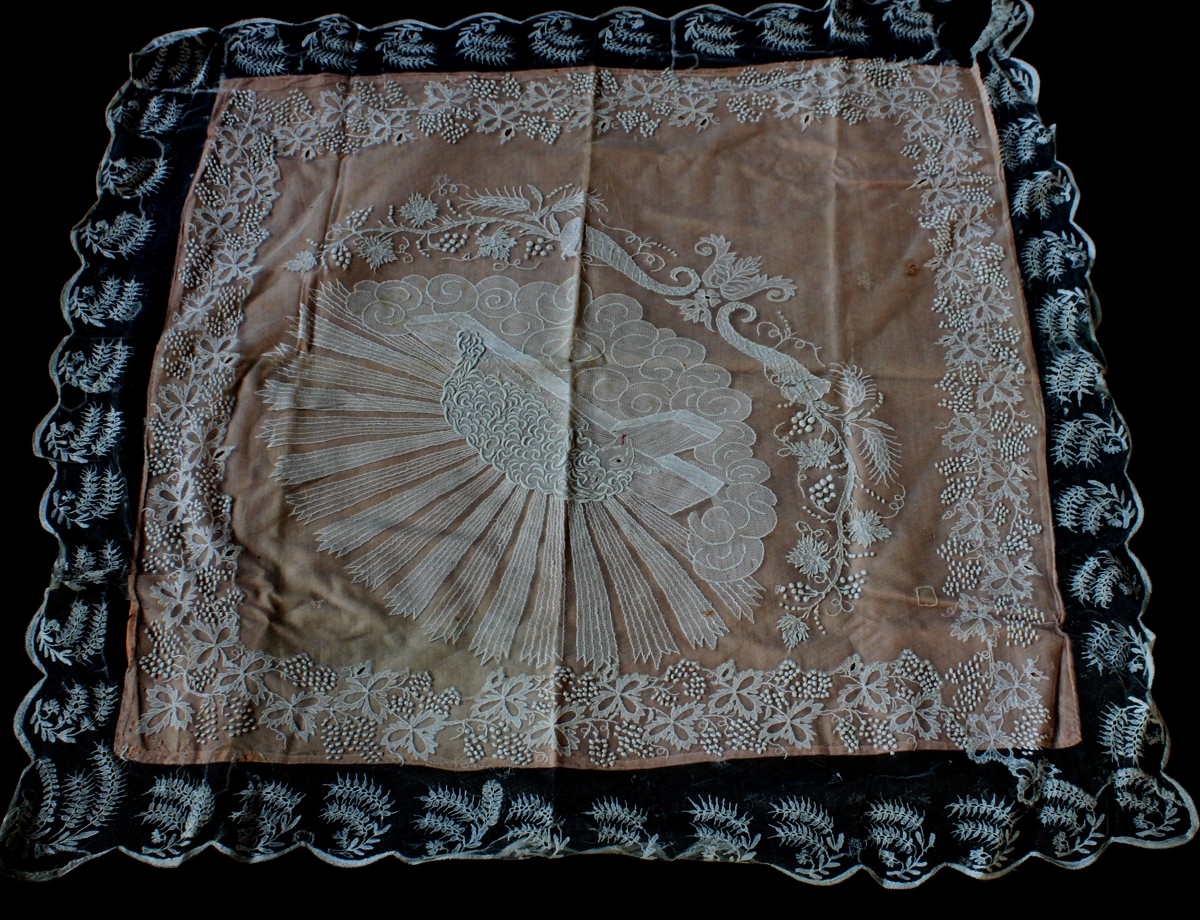 🏛️ Denderland pioniert in Vlaanderen! Sterk nieuws voor onze regio 👏