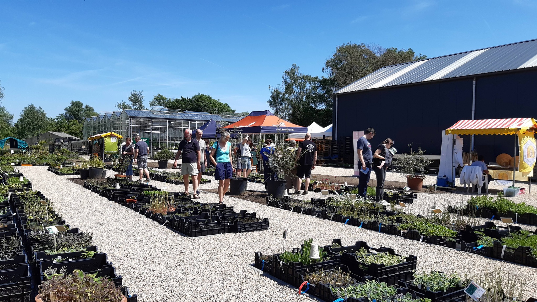 Opendeurdag Bioboerderij De Loods: Tuinieren, Bio Producten en Familieplezier op 26 mei