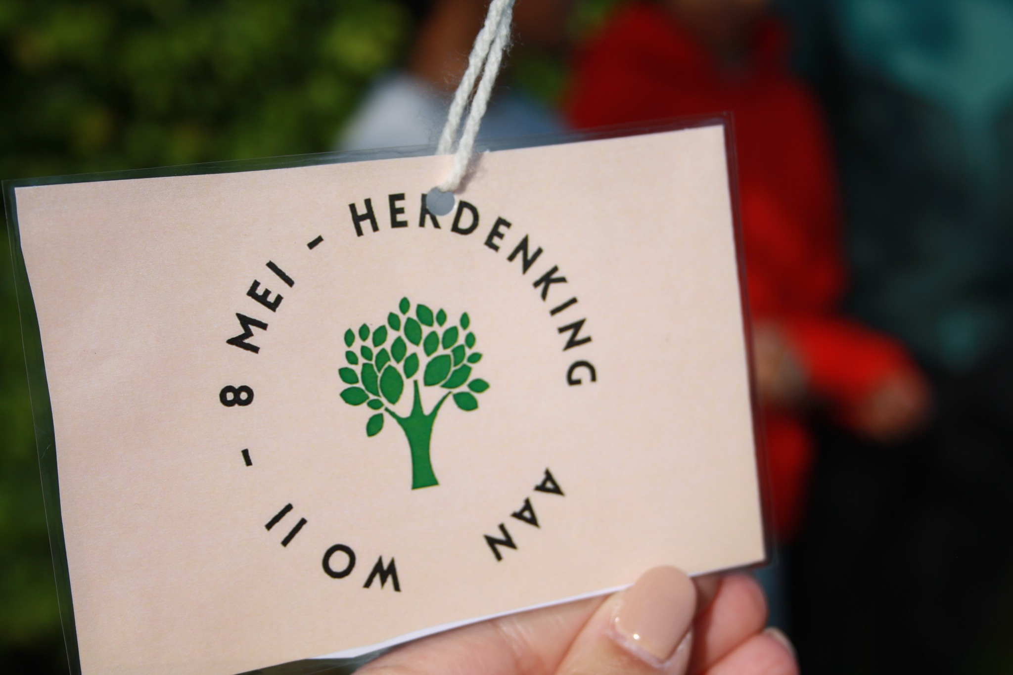 🌳 Vredesboom geplant op GO! Basisschool De Nieuwe Arend 🌳