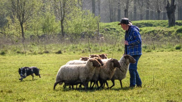 🌱 Smakelijke Plantenverkoop op de Bioboerderij – zaterdag 17 mei 🌸