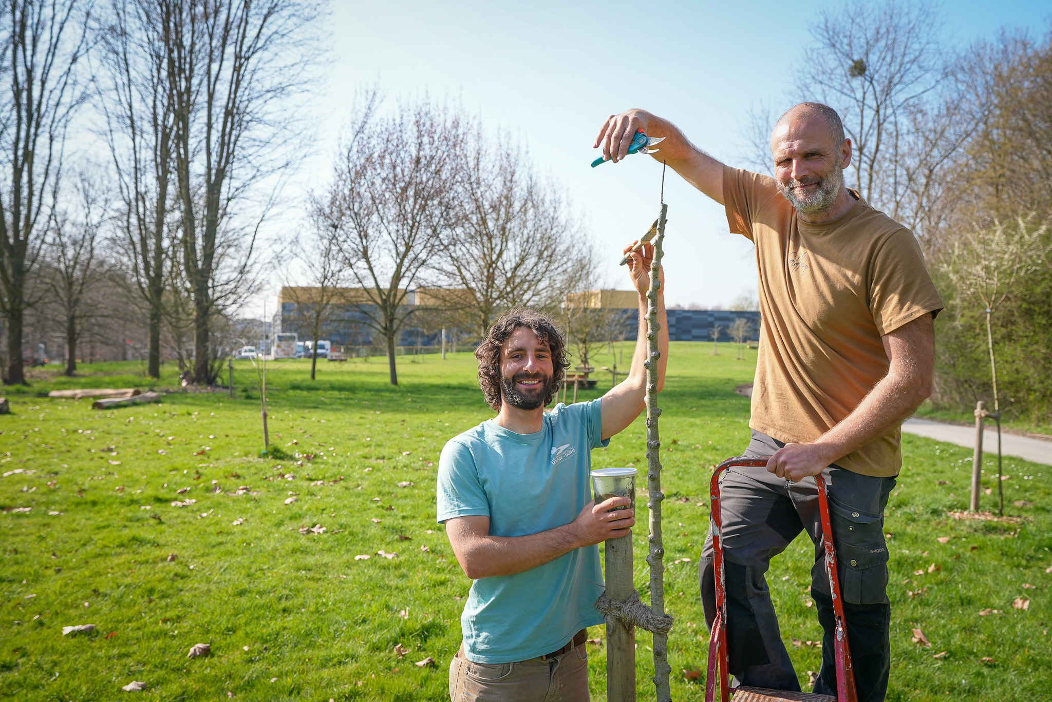 🍏🍐 Vijf nieuwe appel- en perenbomen in Zwembadpark!