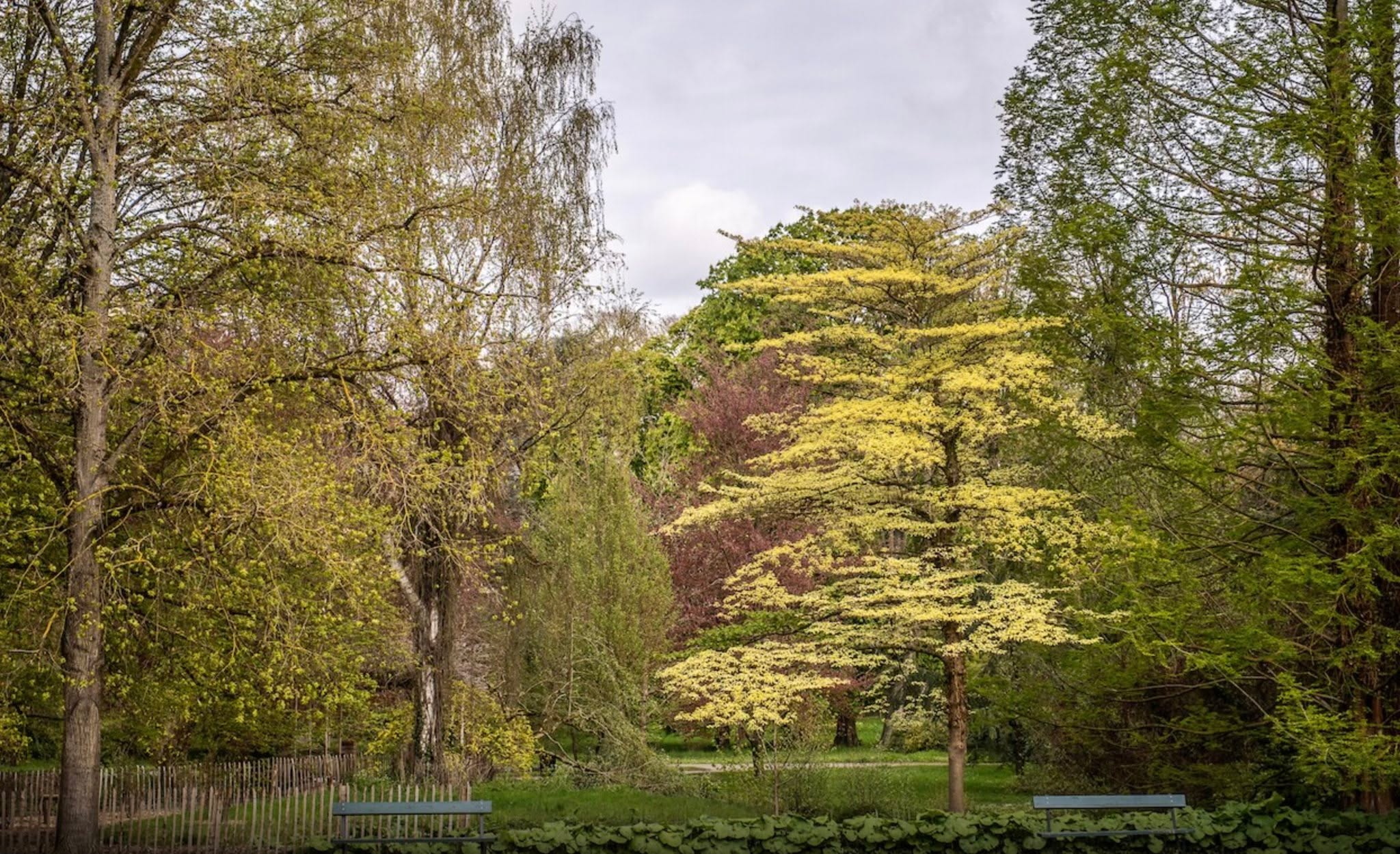 Politie Aalst : "Storm Goretti heeft ook Aalst bereikt. ⛔️ Door de hevige wind en regen worden alle parken, outdoor sportterreinen en de Frans Blanckaertdreef gesloten. ⚠️ Wees voorzichtig en blijf uit de buurt van bomen. "