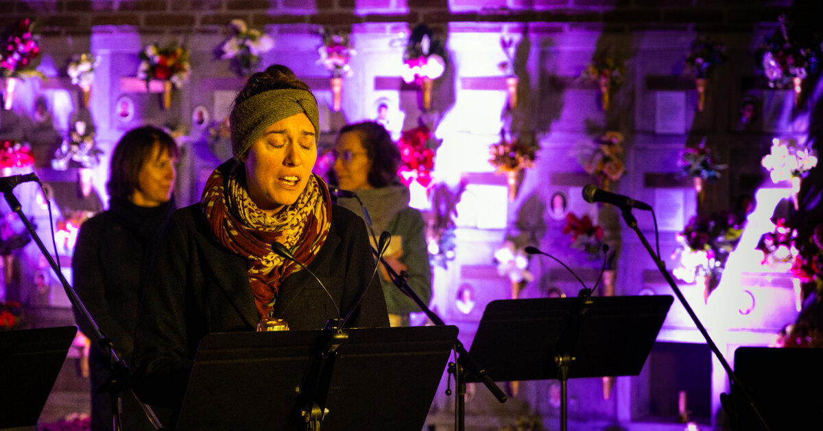 🎵 Oproep: Stad Aalst zoekt artiesten voor Reveil op 1 november