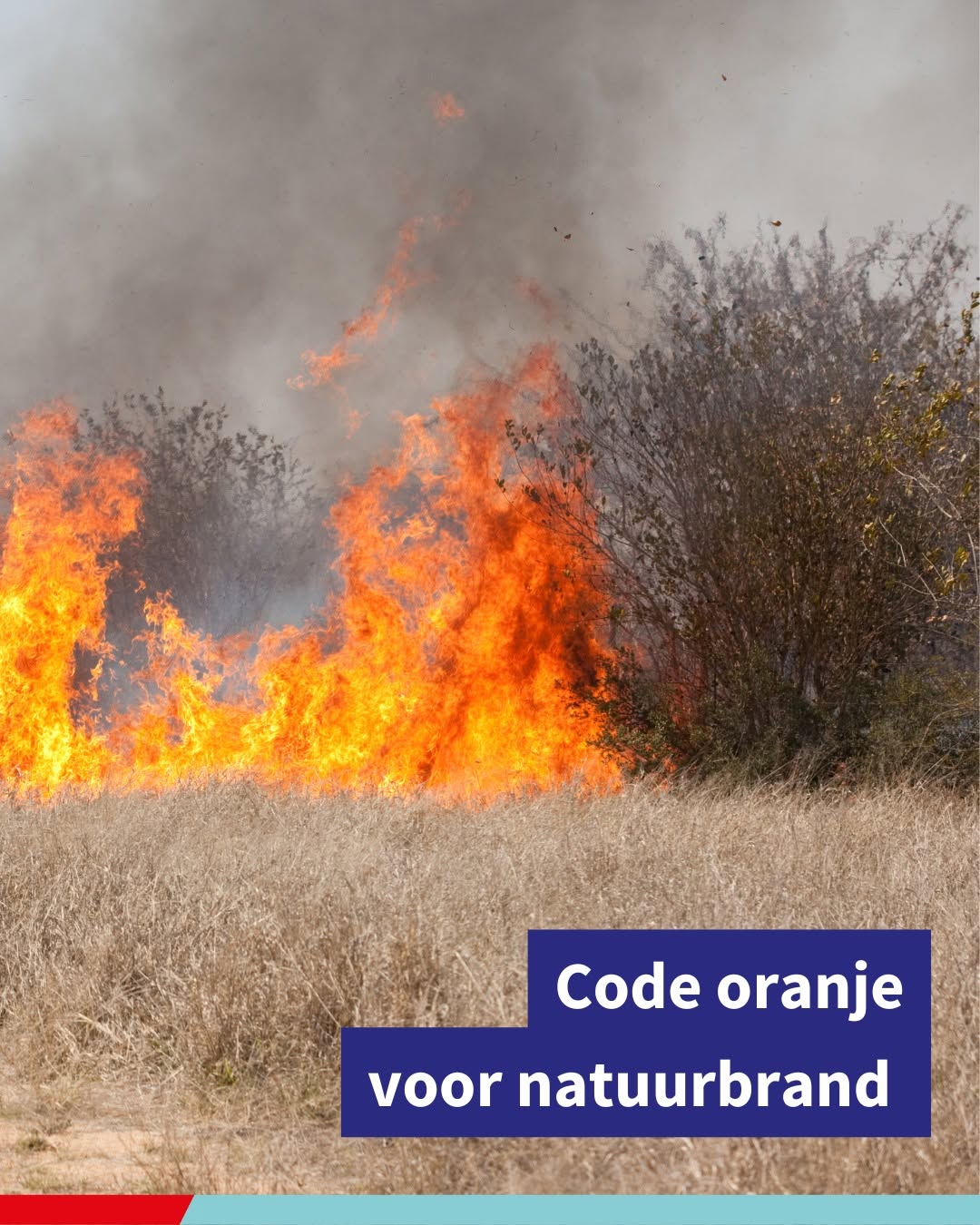 ❗Door de aanhoudende droogte en de hoge temperaturen heeft Natuur en Bos code oranje afgekondigd voor natuurbrand. Het risico op natuur- en bosbranden is verhoogd.❗