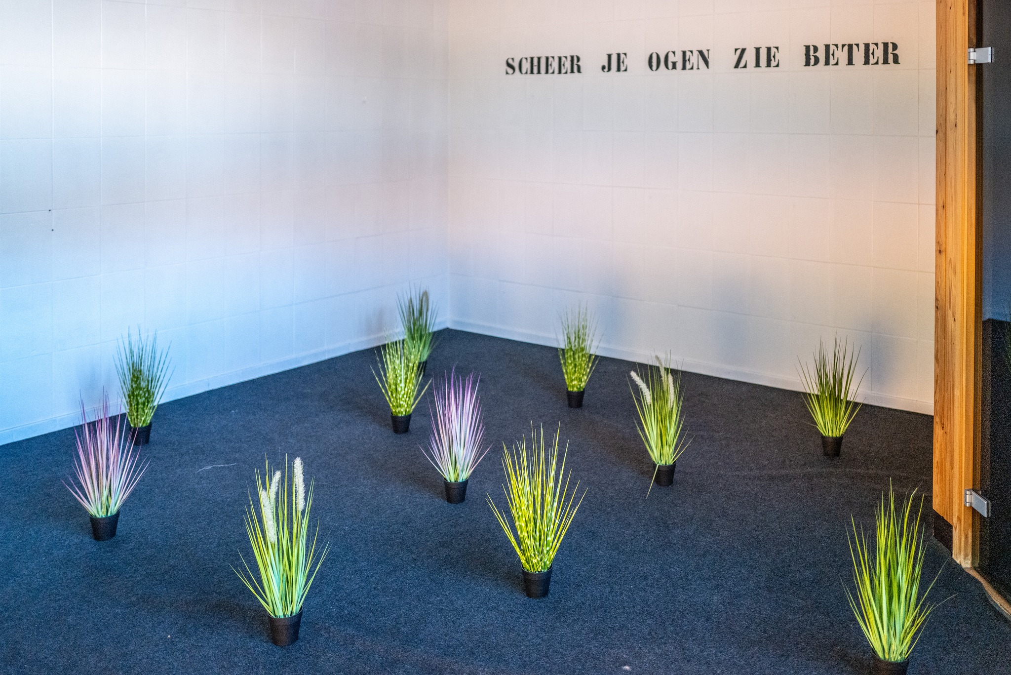 Einde van kunstexpo [ri-vohlt] in Aalst: een terugblik op geslaagd experiment