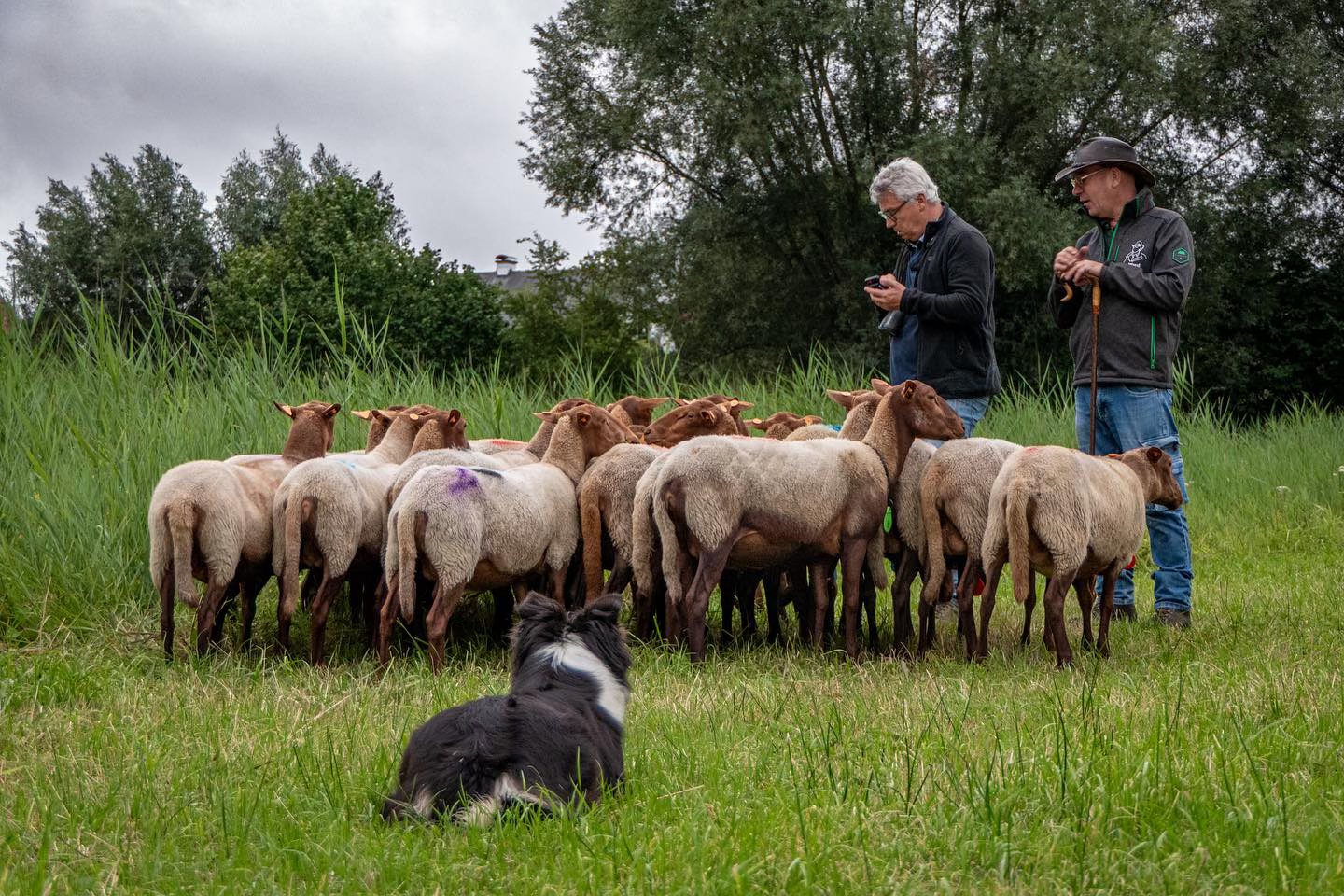Opendeurdag Bioboerderij De Loods: Tuinieren, Bio Producten en Familieplezier op 26 mei